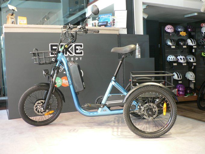 Tricycle électrique adulte DAMIUS EVASION 20
