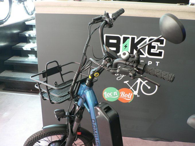 Tricycle électrique adulte DAMIUS EVASION 20