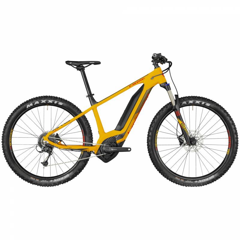 bergamont velo