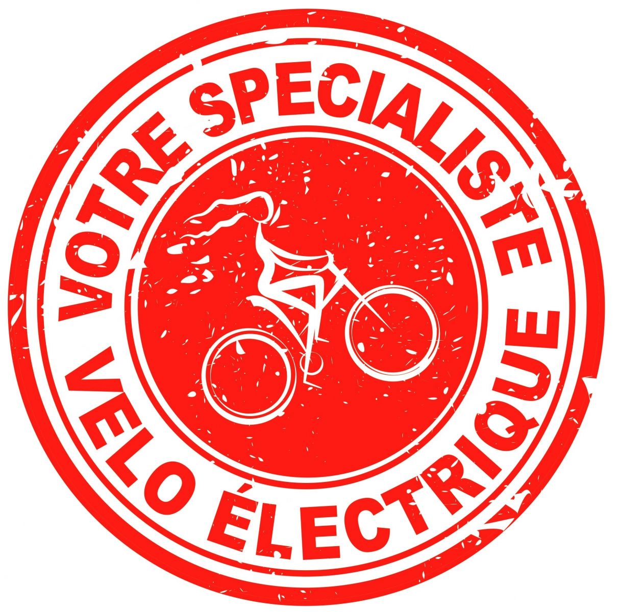 spécialiste vélo électrique 